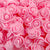Foam Rose Petals