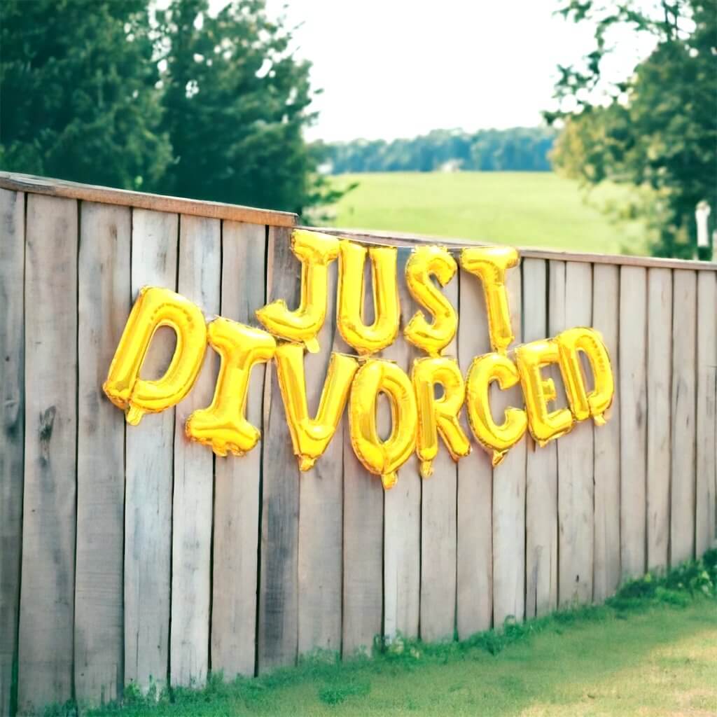 Divorce Party