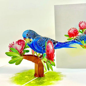 Handmade 3D pop-up card featuring Australian budgie and protea blossoms