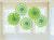 Kiwi Green Printed Paper Fan Decorations 5 Pack