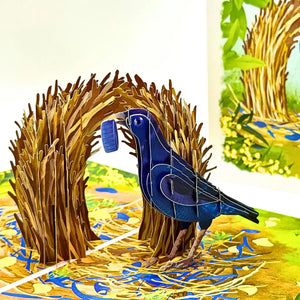 Unique bowerbird 3D pop-up card for nature and bird lovers