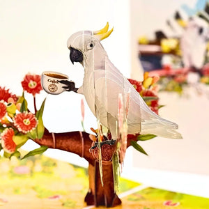 Australian white cockatoo morning coffee pop-up greeting card