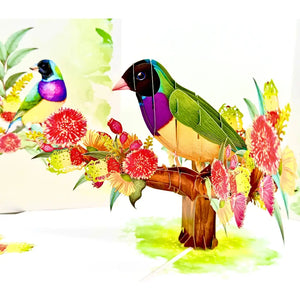 3D pop up wildlife card Australia