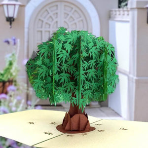 Green Japanese Maple Tree 3D Pop Up Greeting Card - Online Party Supplies