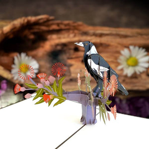 Handmade Australian Native Magpie Pop Up Card
