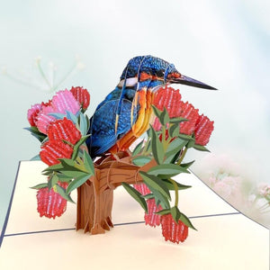 Australian Native Kingfisher Pop Up Card