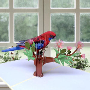 Handmade Australian Crimson Rosella Parrot Bird Card