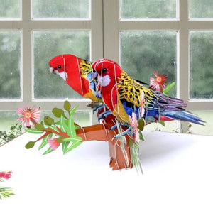 Australian Eastern Rosella Parrot Couple 3D Pop-Up Card – handcrafted greeting card with red flowering gum tree design