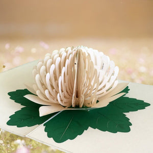 Handmade Australian Native Flower White Waratah Pop Up Greeting Card - Online Party Supplies