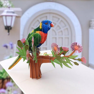 Handmade Australian Native Rainbow Lorikeet Parrot Bird 3D Pop Up Greeting Card - Online Party Supplies