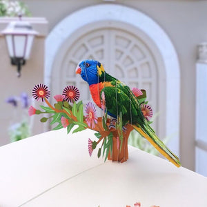 Handmade Australian Native Rainbow Lorikeet Parrot Bird 3D Pop Up Greeting Card - Online Party Supplies