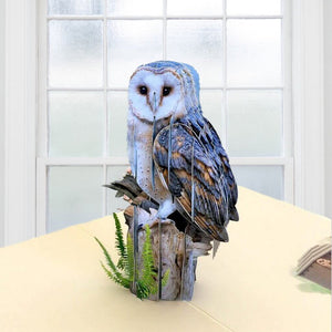 Handmade Online Party Supplies Barn Owl Bird 3D Pop Up Greeting Card