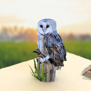 Handmade Online Party Supplies Barn Owl Bird 3D Pop Up Greeting Card