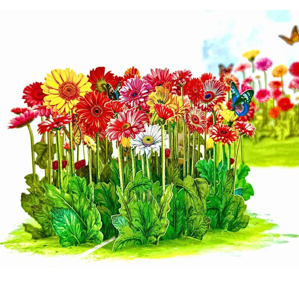 Inside view of 3D pop-up card with gerbera daisies and butterflies