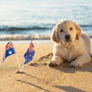 Mini Australian Flags Handheld Wavers 5pk