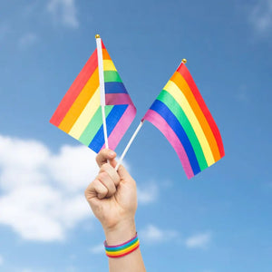 Rainbow Striped handheld mardi gras Handwaver Flag