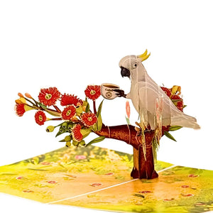 Sulphur-crested cockatoo 3D pop-up card holding coffee cup