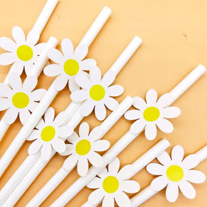 White Daisy Paper Straws 10pk