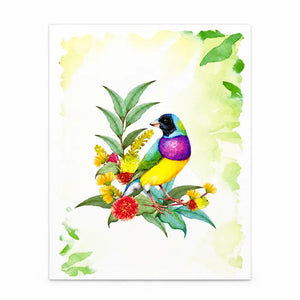 Gouldian Finch keepsake greeting card cover