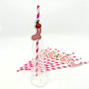 Hen Party Penis with Funny Faces Drinking Straw 10 Pack