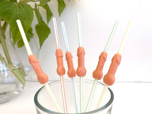 Naughty 3D Hen Party Penis Shaped Nude Drinking Straws Pack of 6