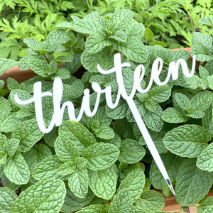 Acrylic Silver Mirror 'Thirteen' Cake Topper