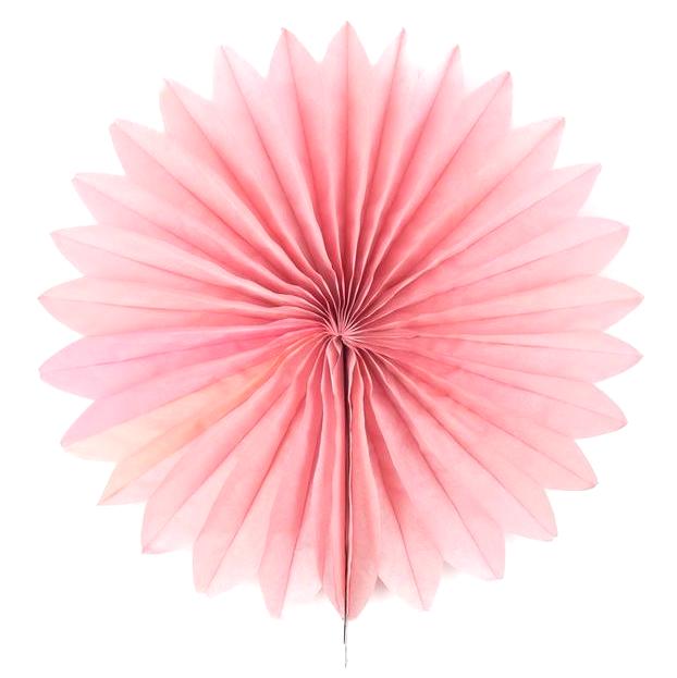 Baby Pink Tissue Paper Fan - 6 Sizes