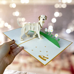 Handmade White Labrador Dog in Daisy Garden 3D Pop Up Card - Online Party Supplies