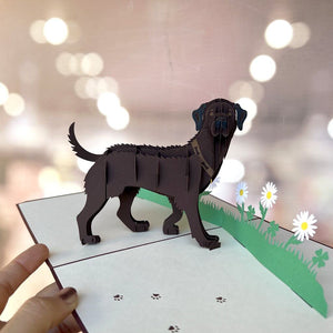 Handmade Dark Brown Labrador Dog in Daisy Garden 3D Pop Up Card