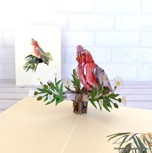 Handmade Australian Galah Cockatoo Bird Card