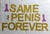 Gold Glitter SAME PENIS FOREVER Pink Penis Hens Party Banner - Online Party Supplies