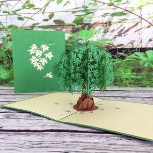 Green Japanese Maple Tree 3D Pop Up Greeting Card - Online Party Supplies
