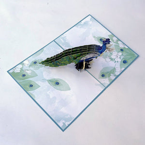 Asian Oriental Blue Green Peacock with White Magnolia Flowers 3D Pop Card
