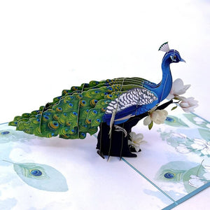 Asian Oriental Blue Green Peacock with White Magnolia Flowers 3D Pop Card