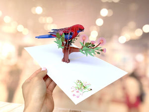 Handmade Australian Crimson Rosella Parrot Bird Card