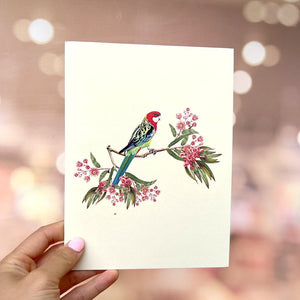 Handmade Australian Eastern Rosella Parrot Bird Card