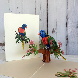 Handmade Australian Native Rainbow Lorikeet Parrot Bird 3D Pop Up Greeting Card - Online Party Supplies