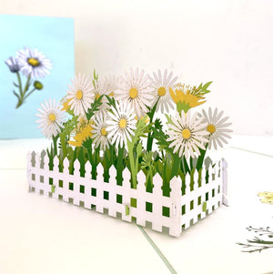 Handmade White English Daisy Garden 3D Pop Up Greeting Card - Mother's Day, Valentine's Day Pop Up Cards - Wedding Invitations