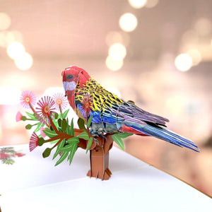 Luxury Embossing Australian Eastern Rosella Parrot Bird Card