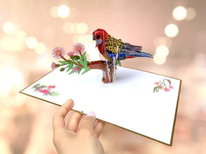 Luxury Embossing Australian Eastern Rosella Parrot Bird Card