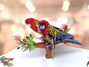 Luxury Embrossing Australian Colourful Eastern Rosella Parrot Couple 3D Pop Up Card
