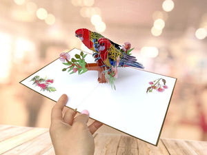 Luxury Embrossing Australian Colourful Eastern Rosella Parrot Couple 3D Pop Up Card