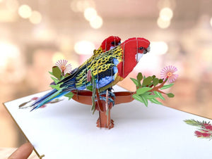 Luxury Embrossing Australian Colourful Eastern Rosella Parrot Couple 3D Pop Up Card