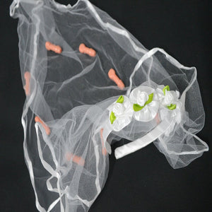 Naughty Bachelorette Party Veil for brides and bridesmaids