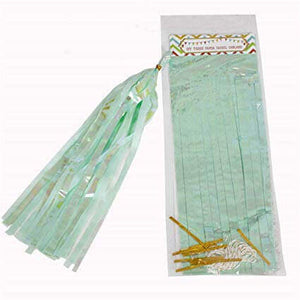 Online Party Supplies Iridescent seafoam Green Tassel Garland (Pack of 5)