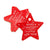 red Star Shape Merry Christmas and happy new year Gift Tag 10 Pack