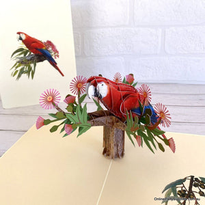 Handmade Rosella Parrot Bird 3D Greeting Card - Australian Native Animal Pop Up Cards