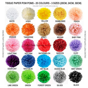 multi colour Tissue Paper Pom Poms Pompoms Balls Flowers Party Hanging Decorations