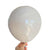 10 Inch Light Grey Latex Balloon 10 Pack