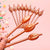 Rose Gold Pussy Straws 10pk
